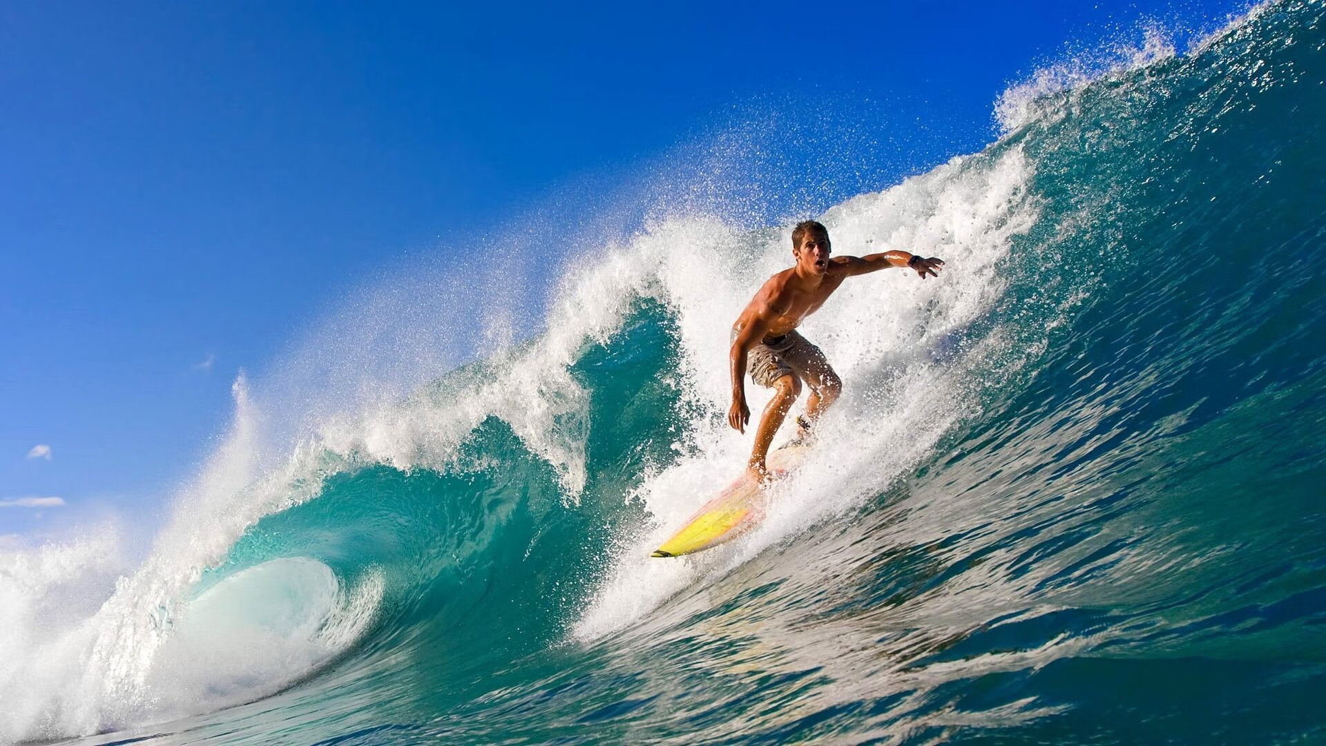 青少年赛事吸引大量家长关注体育素养成为家庭教育新焦点,实施青少年体育活动促进计划培育青少年体育爱好