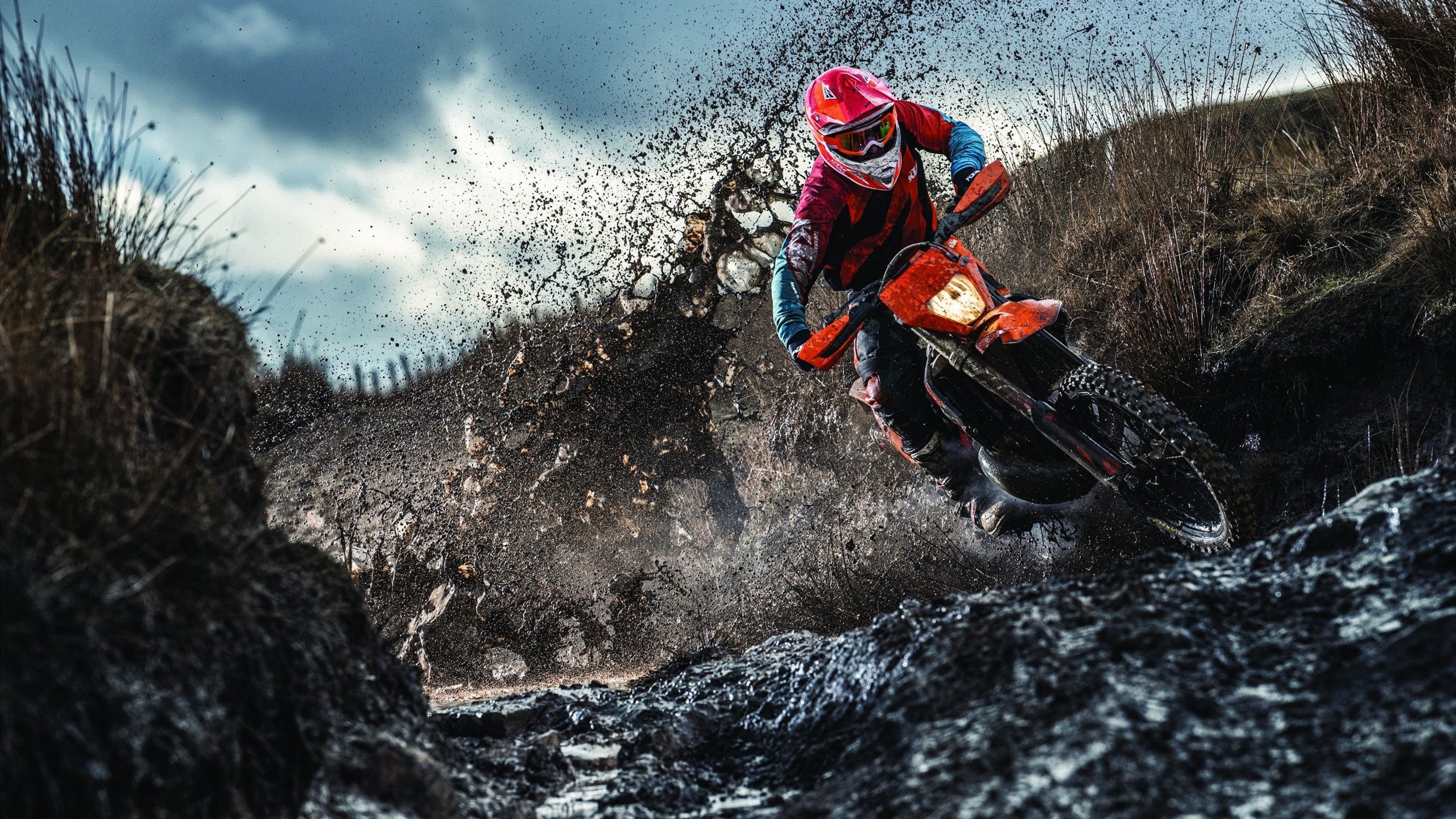 巴黎街头开幕式展现多元文化，巴黎街头开幕式展现多元文化的节目